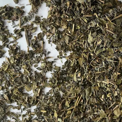 TH Green Tea