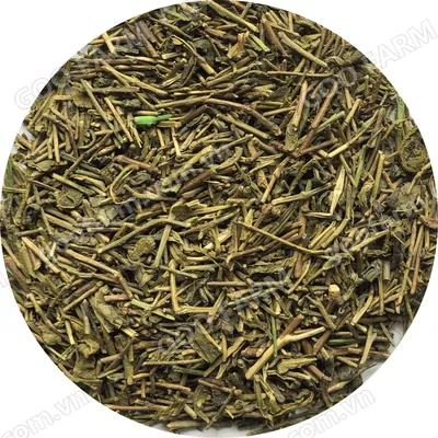 Stalk Green Tea