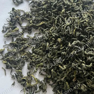 OP Green Tea