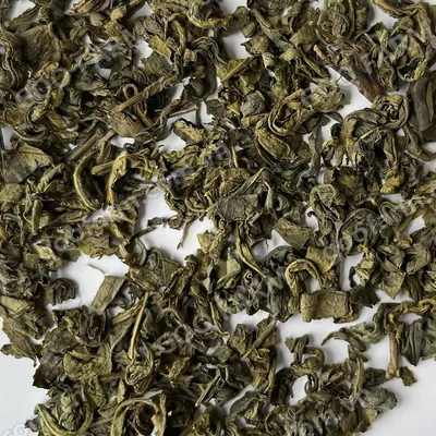 OPA Green Tea