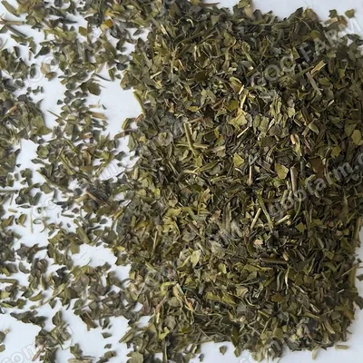 PS Green Tea
