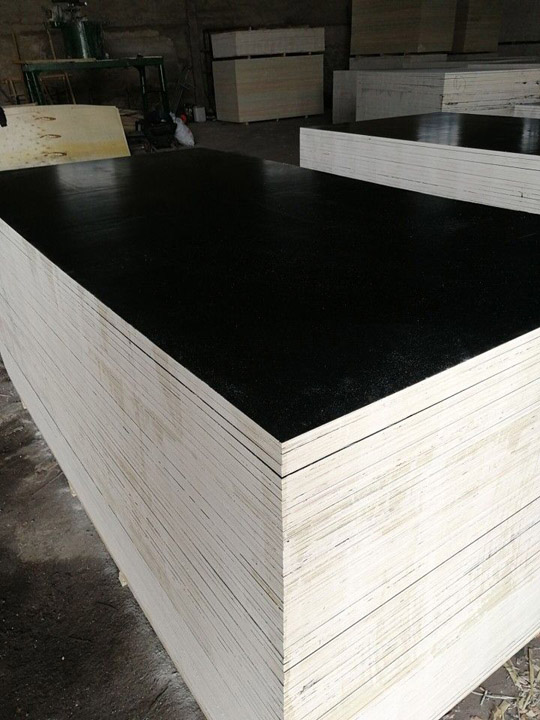 Construction plywood