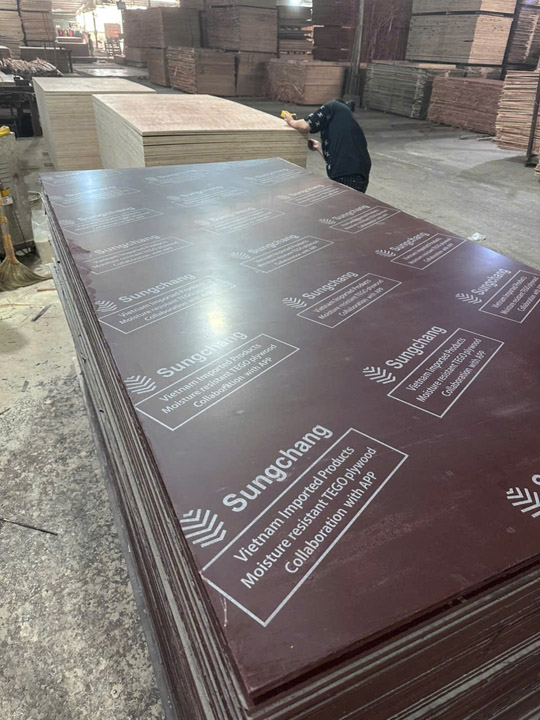Construction plywood