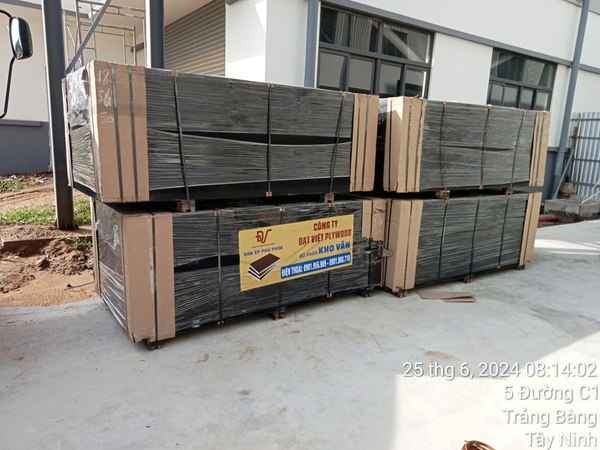 Actual images - Dat Viet Plywood