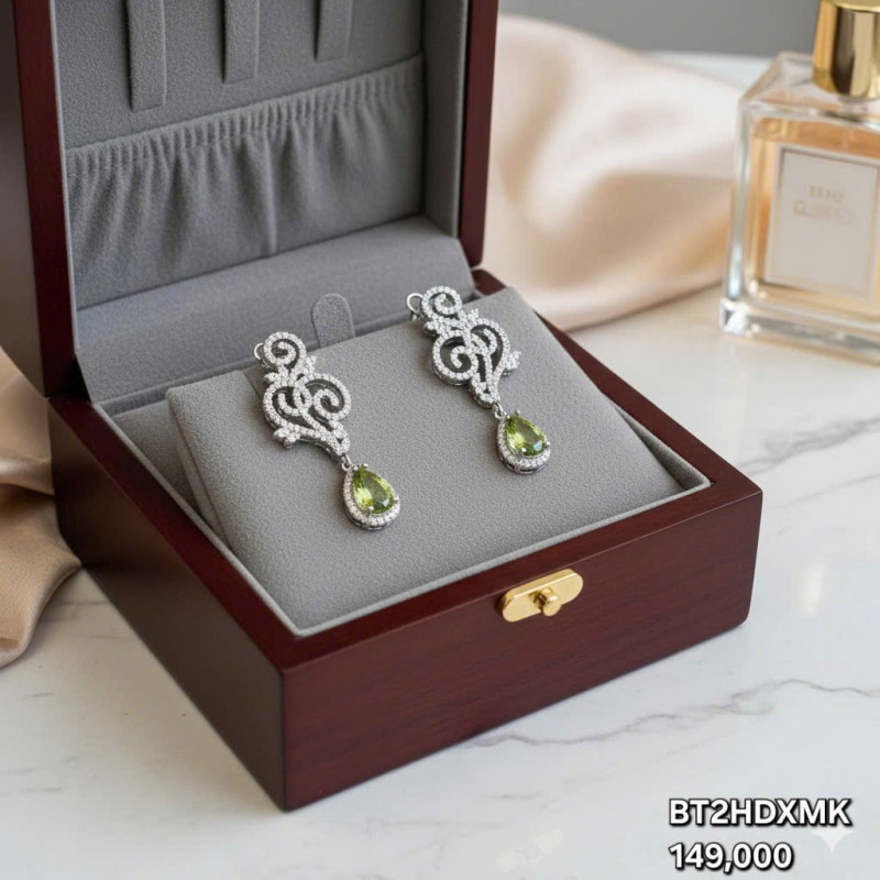 Titanium earrings BT2HDXMK