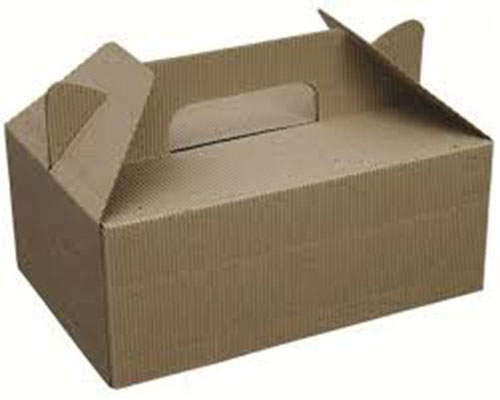 Die-cut box with carry handles