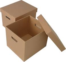 Carton box with separate lid