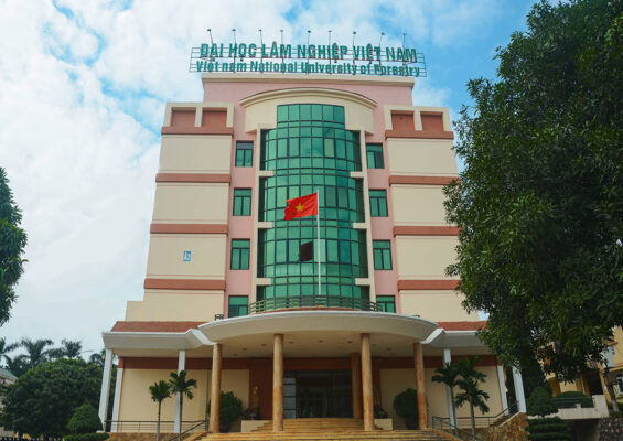 Renovation of the administrative building – Forestry University
