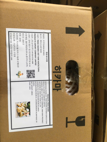 Fresh jicama