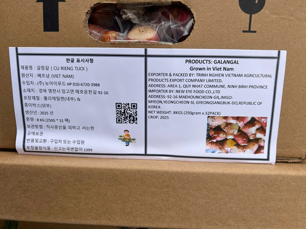 Fresh galangal root