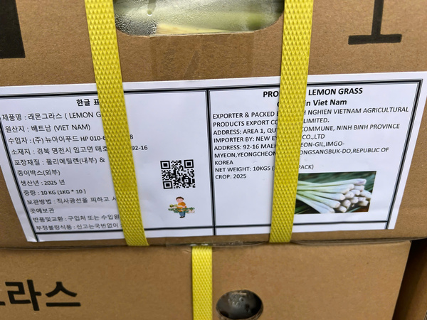 Fresh lemongrass