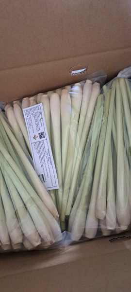 Fresh lemongrass