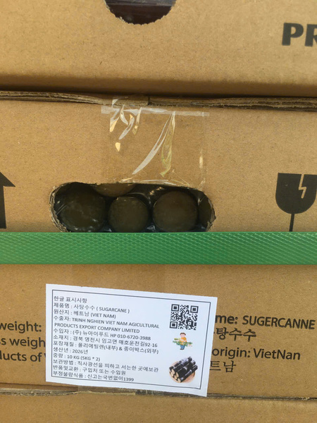 Fresh cut sugarcane