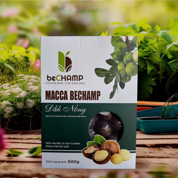 beCHAMP Premium Macadamia Nuts