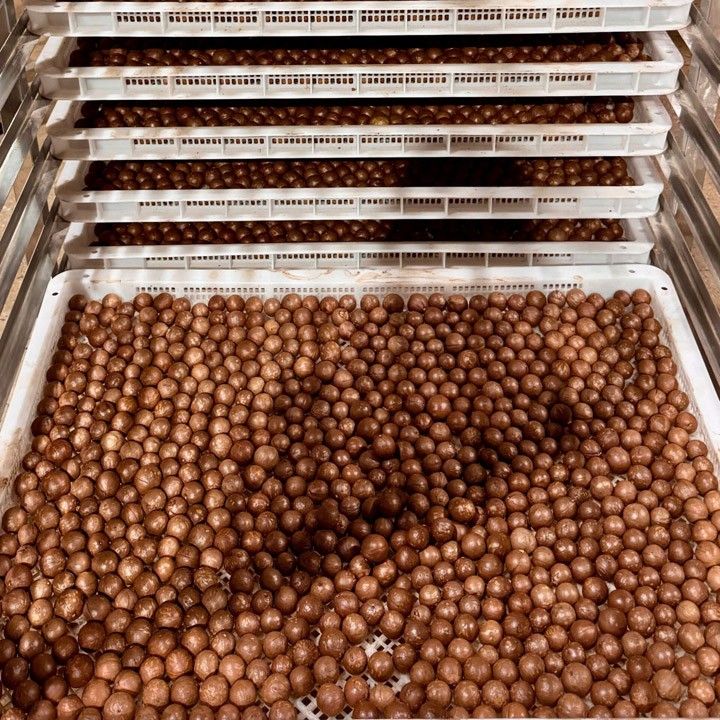 beCHAMP Premium Macadamia Nuts