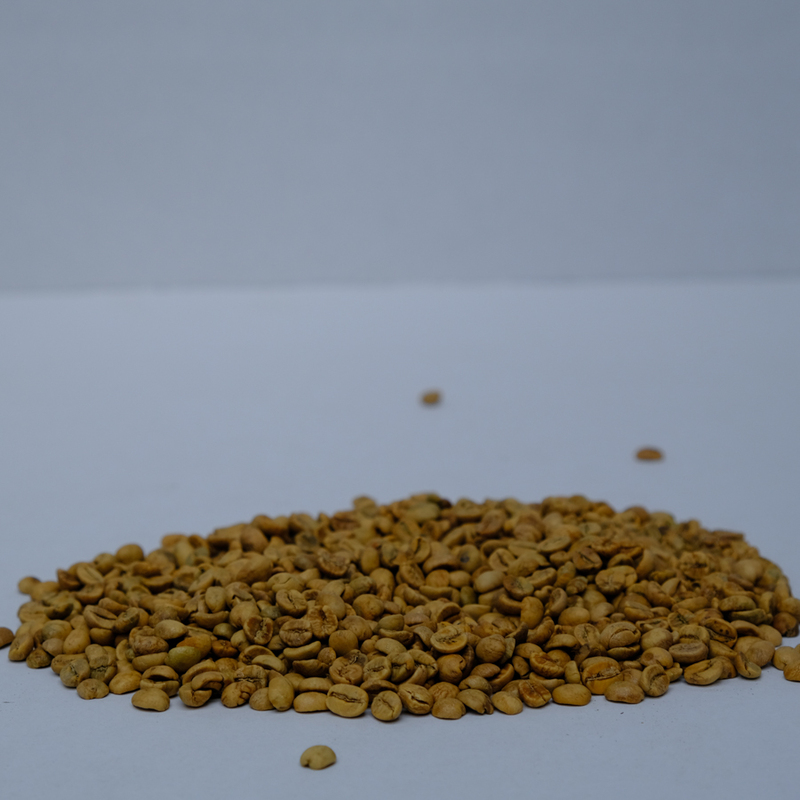 Cau Dat Arabica green coffee beans 1kg