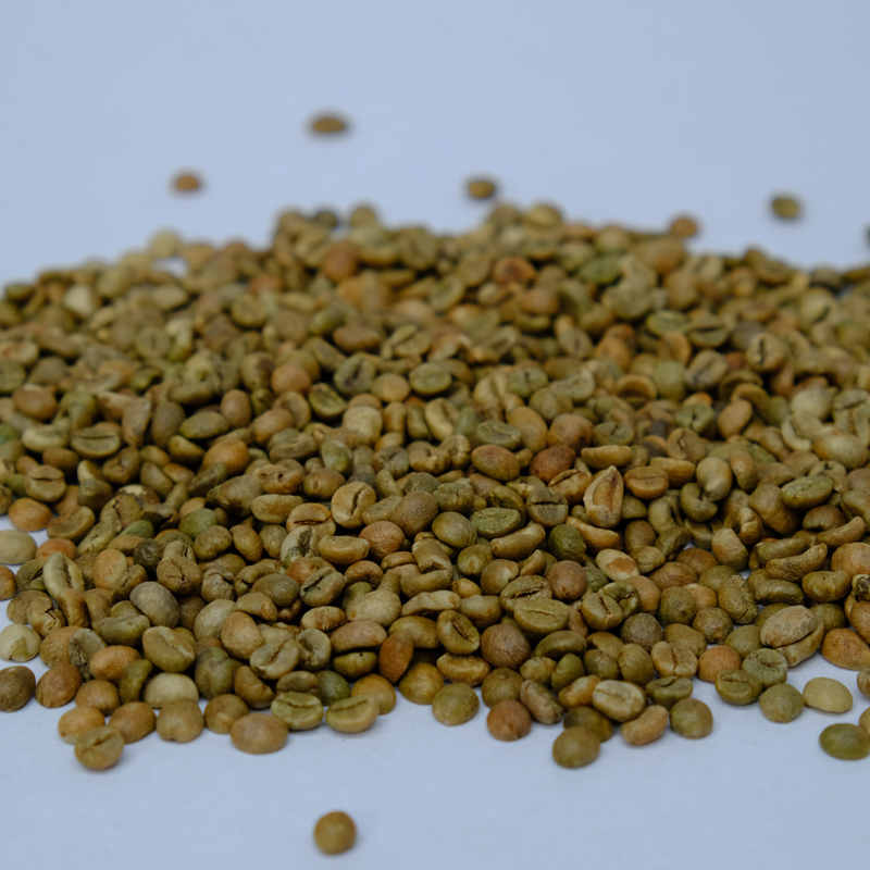S18 Robusta green coffee beans 1kg
