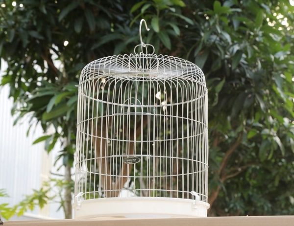 Stainless steel modular bird cage LC003