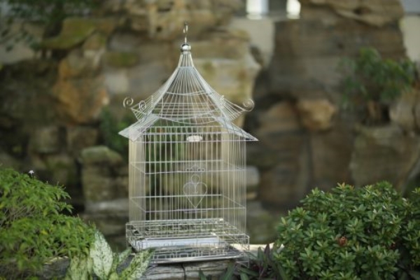 Pagoda roof stainless steel bird cage