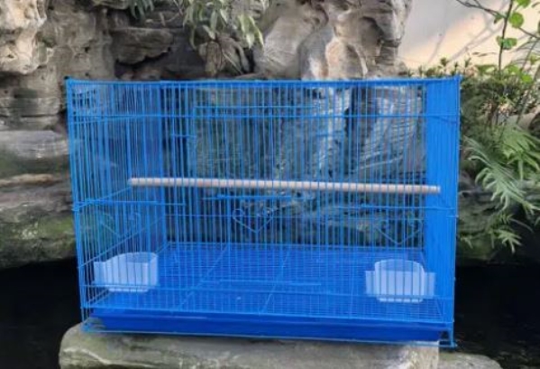 Bird training cage