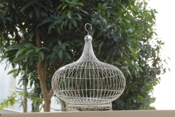 Round bird cage LC007