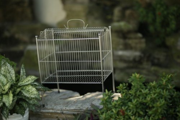 Bird bath cage LC008