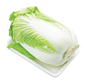 Chinese cabbage