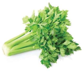 Celery
