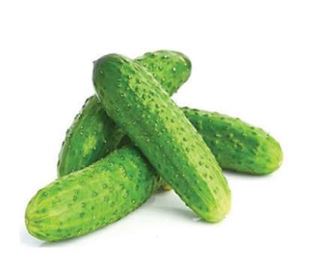 Cucumber