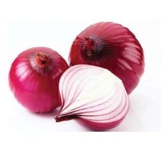 Onion