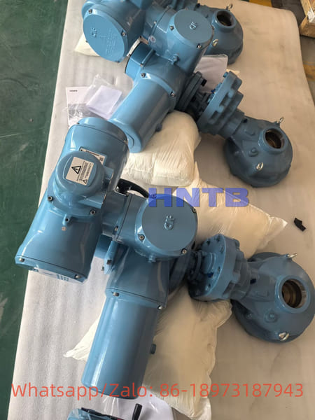 HNTB gear for industrial valve