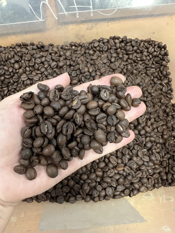 Robusta coffee