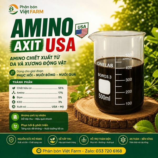Amino Axit - USA