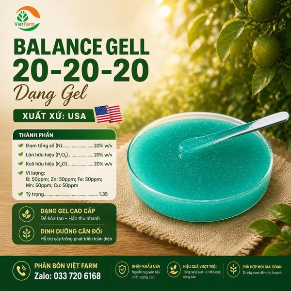 Balance Gel 20-20-20 - USA