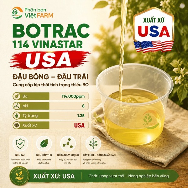 Botrac 114 Vinastar - USA
