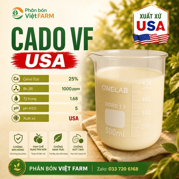 Cado VF - USA