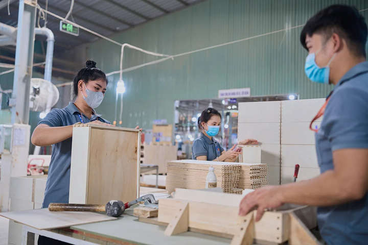 Assembly Process
