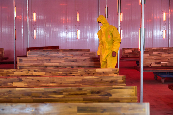 Wood Surface Sterilization Process