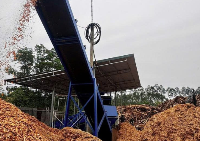 Wood chips