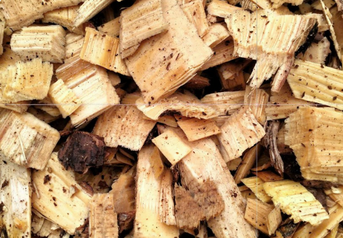 Wood veneer