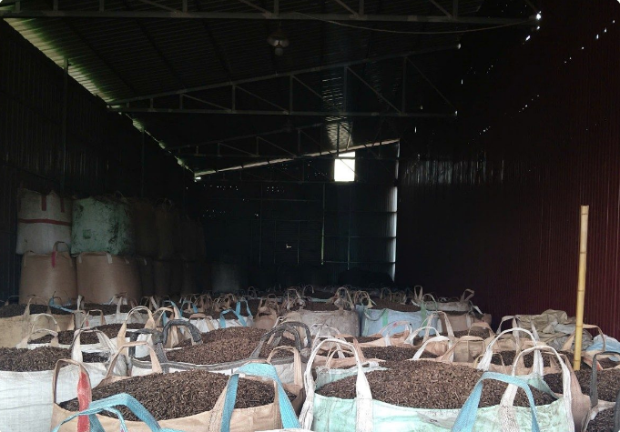 Wood pellets