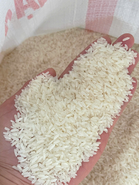 TFOOD rice