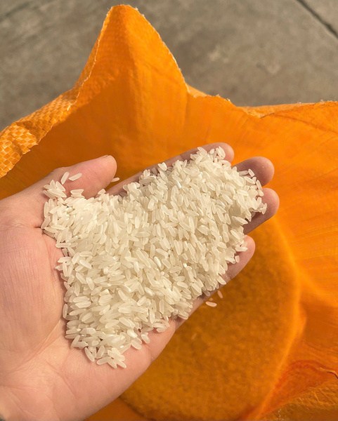 TFOOD rice