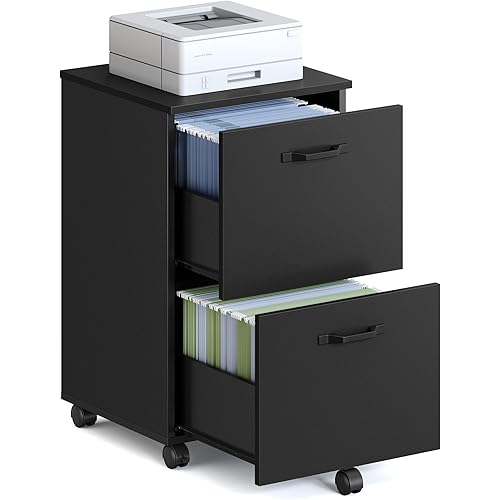 2-Drawer Rolling Home Office File