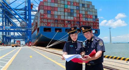 Customs declaration service