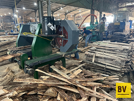 Sawn acacia and pine wood