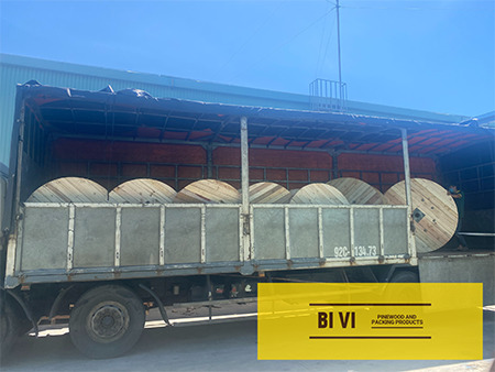 Bi Vi delivery