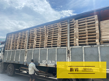 Bi Vi delivery
