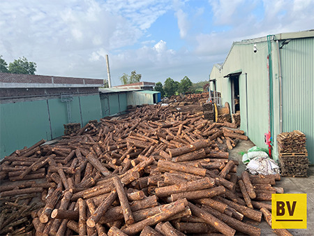 Sawn acacia and pine wood