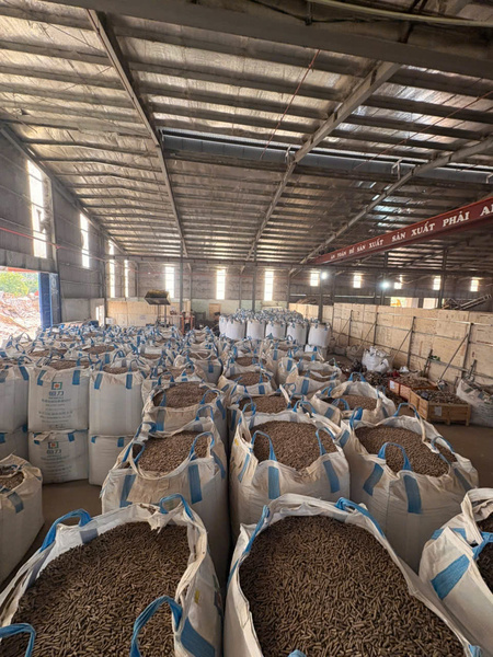 Bi Vi Warehouse